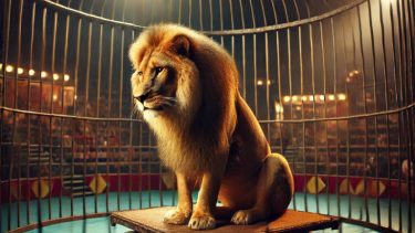 不安こそ、あなたを導く“正しい道しるべ”──安心を手放し、人間的・霊的成長へ踏み出そう